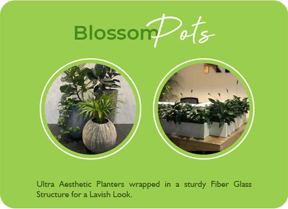 Our Services | | Green Earth Our Services | | Green Earth | |