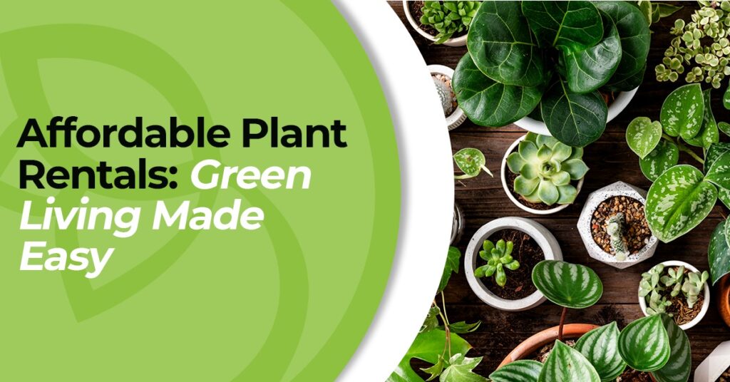 Affordable Plant Rental Services: Embrace Green Living | | Green Earth Affordable Plant Rental Services: Embrace Green Living | | Green Earth | Plant Rentals by Green Earth India |