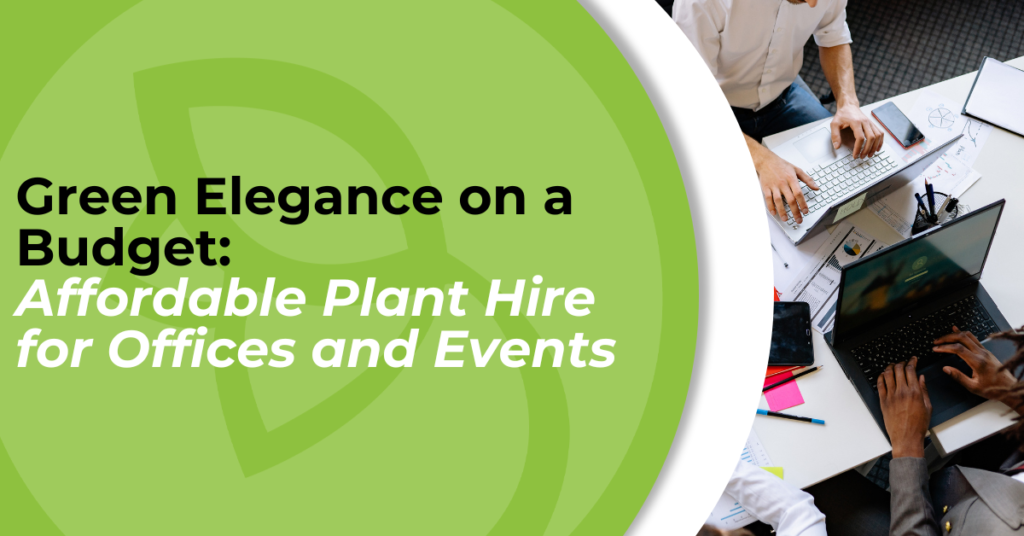 Enhancing Corporate Spaces with Affordable Plant Hire: No Maintenance, No Worries | | Green Earth Green Elegance on a Budget: Affordable Plant Hire for Offices and Events
