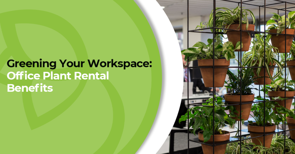 plant rental services plant rental in delhi ncr