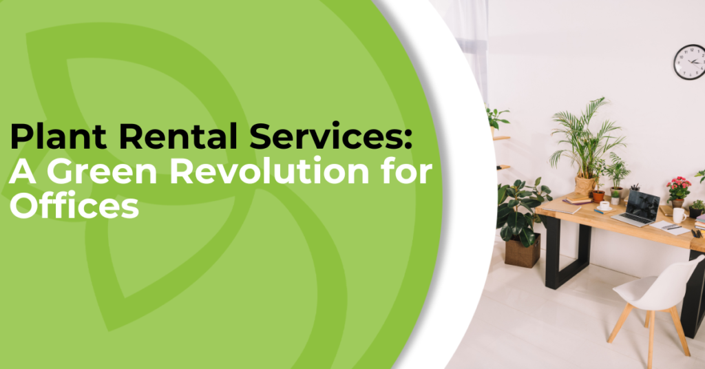Best Plant Rental Services: A Green Revolution for Offices | | Green Earth Plant Rental Services: A Green Revolution for Offices