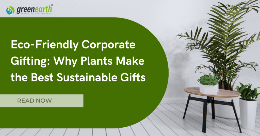 Eco-Friendly Corporate Gifting: Why Plants Make the Best Sustainable Gifts | | Green Earth Eco-Friendly Corporate Gifting: Why Plants Make the Best Sustainable Gifts | | Green Earth | Plant Rentals by Green Earth India |