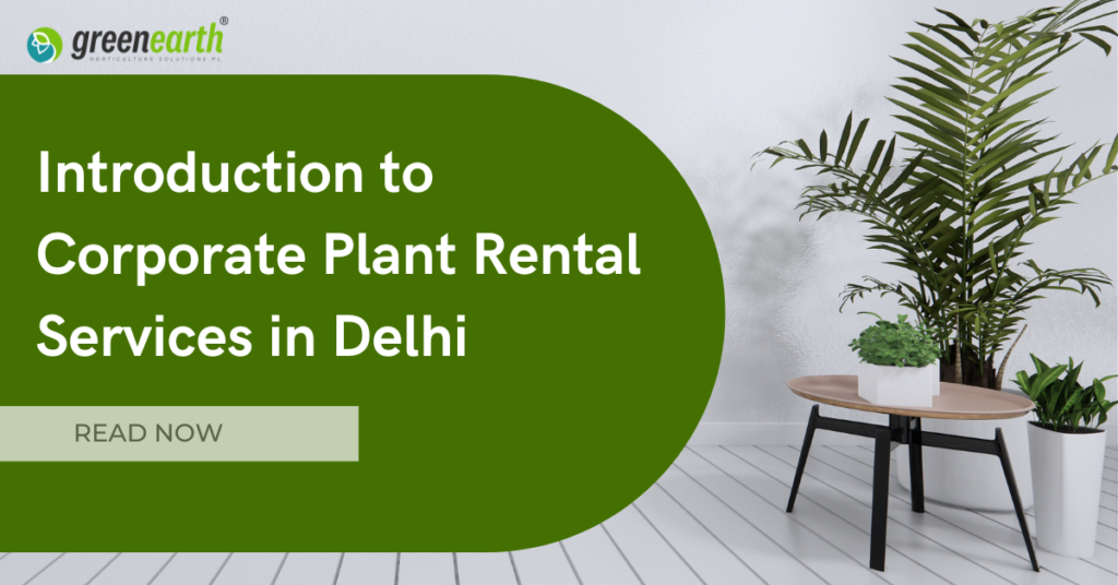Introduction to Corporate Plant Rental Services in Delhi | | Green Earth Introduction to Corporate Plant Rental Services in Delhi | | Green Earth | Plant Rentals by Green Earth India |