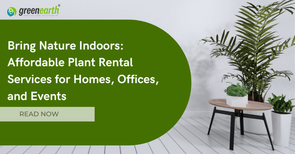 Bring Nature Indoors: Affordable Plant Rental Services for Homes, Offices, and Events | | Green Earth Bring Nature Indoors: Affordable Plant Rental Services for Homes, Offices, and Events | | Green Earth | Plant Rentals by Green Earth India |